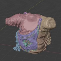 unclean_Front2.jpg Download STL file Very unwashed Body • 3D print object, hoglbuachan
