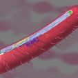 file-6.jpg Tuberculosis bacteria detail cut section labelled 3D model