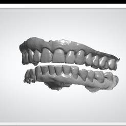 File View Help > 0 ern weGq ae 3shape> Free STL file Free Scanning・Model to download and 3D print