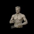 22.jpg Hugh Jackman 3D print model
