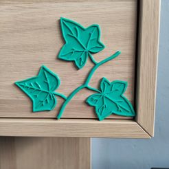 Ivys.jpg Fichier 3D Décoration de la feuille de lierre・Modèle à imprimer en 3D à télécharger