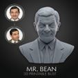 2d45b1d1-2ff0-4075-911d-aca4d574c4d6.jpg Mr. Bean 3D Printable Bust