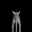chu.png Chupacabra