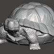 Turtle-Figurine-Pic-7.jpg Turtle Figurine