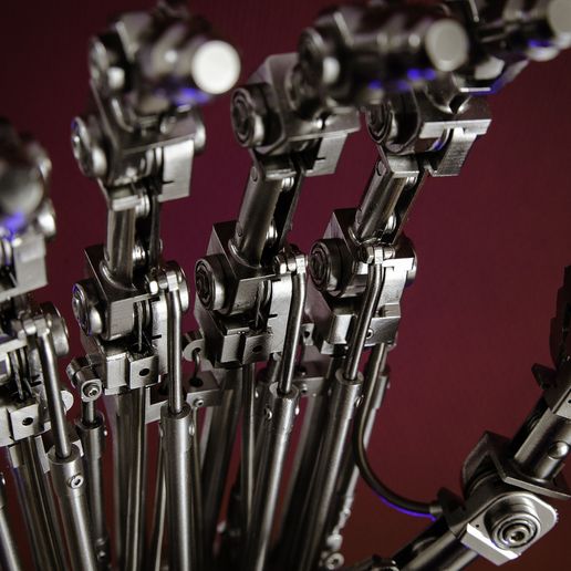 _MG_4277.jpg Terminator Animatronic T800 Arm