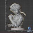 1-34.jpg Ranma ½ - Dual Bust Diorama - 3D Model STL (Presupported)
