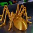 20191005_235010.jpg Fichier STL gratuit Skully the spider・Design pour imprimante 3D à télécharger