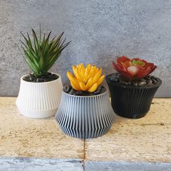 front-trio-silver-1.jpeg Flared Ribbled Succulent Planter