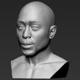3.jpg Tupac Shakur bust ready for full color 3D printing