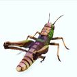 trf.jpg DOWNLOAD Grasshopper 3D MODEL - ANIMATED - INSECT Raptor Linheraptor MICRO BEE FLYING - POKÉMON - DRAGON - Grasshopper - OBJ - FBX - 3D PRINTING - 3D PROJECT - GAME READY-3DSMAX-C4D-MAYA-BLENDER-UNITY-UNREAL - DINOSAUR -