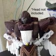 20230304_141529.jpg WFC Airazor pecho