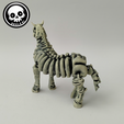 SKELEXI-Horse,-I6.png Flexi Skeleton Horse