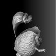 432.jpg Critters.2 options.STL.3d printable.