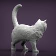british-shorthair-cat3.jpg british shorthair cat 3D print model