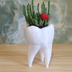 IMG_20200804_182211.jpg Tooth vase - Vaso de dente (EASY PRINT NO SUPPORT)