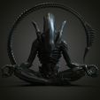 untitled.267.jpg alien yoga 3d print model V2