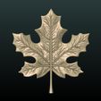 Maple_Leaf-x01.jpg Maple Leaf