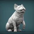 French-Bulldog3.jpg French Bulldog 3D print model