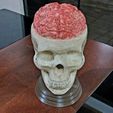 20221122_204234.jpg Realistic 3D Sculpture of Open Human Skull with Exposed Brain