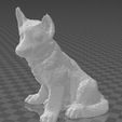 1.JPG Dog - German shepherd dog