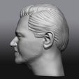 8.jpg Bust Leonardo DiCaprio