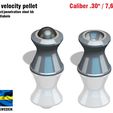 Hypervelocity302.jpg Hyper velocity pellet caliber 30