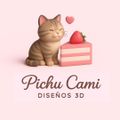 Pichu_Cami