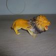P1120248.jpg Roaring Lion
