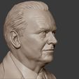 17.jpg Jack Nicholson 3D print model
