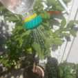 20180722_123538.jpg Free STL file Soda bottle watering cap・3D printable object to download