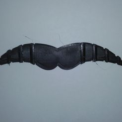 20200612_215419.jpg Moustache Oreille SAver
