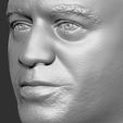 17.jpg Joe Rogan bust for 3D printing
