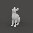 Hare_1.3.jpg Miniaturas de aparência de lebre