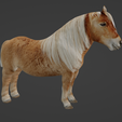 Capture-d’écran-2023-06-29-à-13.06.39.png ponny horse