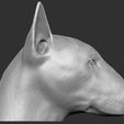 7.jpg Bull Terrier dog for 3D printing