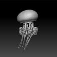 jel2.jpg jellyfish  - jellyfish 3d model