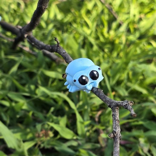 20240606_191147.jpg "Bitsy" the Flexi Jumping Spider