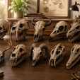 WhatsApp-Image-2026-06-12-at-13.16.19-1.jpeg 10 Skull STL Bundle | 3D Printable Skull Collection | Dragon, Human, Beast & Horned Skull Models | Instant Download