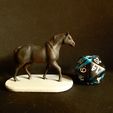 SAM_2507.jpg Horse Miniatures Set