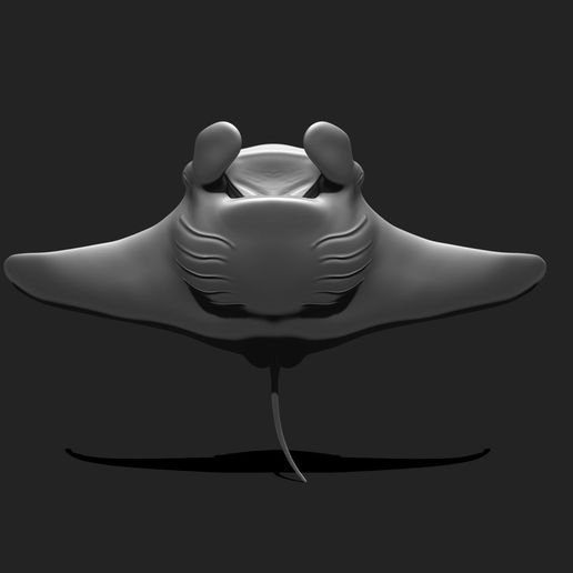 08_manta-ray-mantas-3d-print-aquarium-3d-model-e83cfee9c9.jpg Manta Ray - Mantas - 3D Print - Aquarium