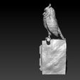 fhhhn.jpg NCAA - Temple Owls football mascot statue - 3d print