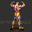 3.jpg king tekken