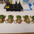 tortue flexible