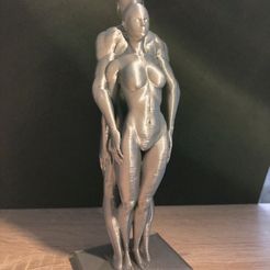 IMG_0389.jpg STL-Datei couple man woman・3D-druckbares Modell zum herunterladen