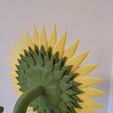 IMG_20220610_180053.jpg Sunflower | 3D Printable Sunflower ©