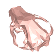 model-3.png Wolf skull low poly