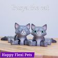 IMG_2415.jpg Busya l'empreinte en place chat jouet flexible