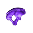 02.stl 💀𝐂𝐑𝐀𝐍𝐄𝐎💀 𝐇𝐔𝐌𝐀𝐍𝐎 𝐄𝐍 𝐏𝐀𝐑𝐓𝐄𝐒 (𝐇𝐔𝐌𝐌𝐀𝐍 𝐒𝐊𝐔𝐋𝐋 𝐏𝐀𝐑𝐓𝐒)