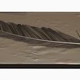 02.jpg Archaeopteryx fossil feather "3d reconstruction