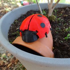 DSC08260.JPG Free 3D file Ladybug Box _ Ladybug Box・Design to download and 3D print